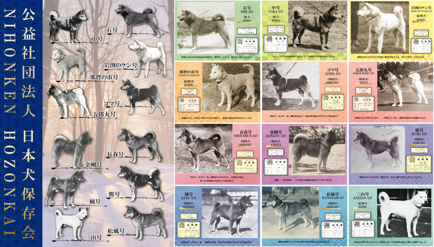 nippo-nihonken-calendar2025