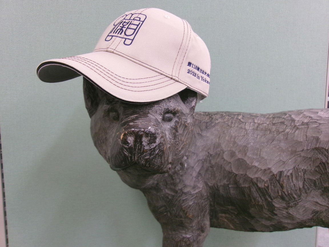 nippo-nihonken-hat-exhibition