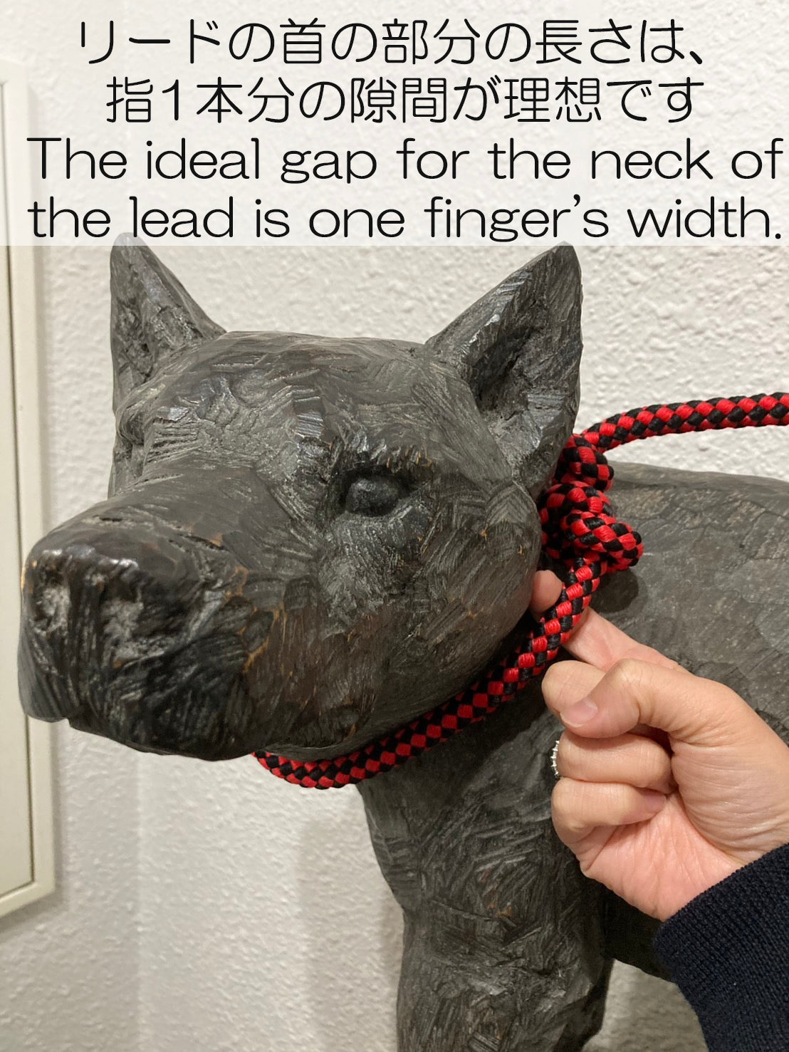 nippo-nihonken-leash