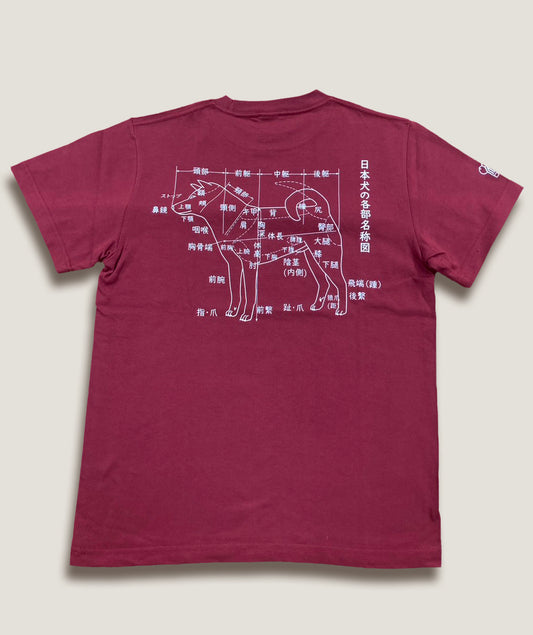 Tシャツ　=犬体図=